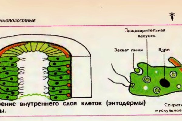 Как пополнить баланс на кракене