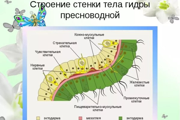 Как зайти на кракен браузеры